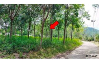 ทรัพย์สถาบันโดย บริษัท บริหารสินทรัพย์สุขุมวิท จำกัด ที่ดิน ถนนสายตลิ่งงาม-ทะเล-หัวถนน (ทล.4170)