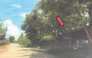 ทรัพย์สถาบันโดย อาคารสงเคราะห์ บ้านเดี่ยว บ้านหนองกุง