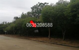 ขายที่ดิน สนามกอล์ฟดราก้อนฮิลล์