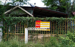 💖 บ้าน สุวรรณภูมิ ราคาพิเศษ! 💖