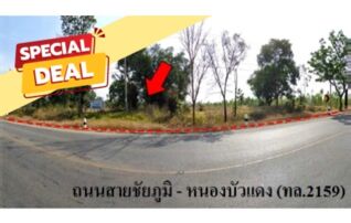 ทรัพย์สถาบันโดย บริษัท บริหารสินทรัพย์สุขุมวิท จำกัด ที่ดิน ถนนสายชัยภูมิ-หนองบัวแดง (ทล.2159)