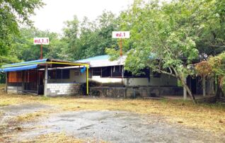 ทรัพย์ธนาคารโดย KASIKORNBANK บ้านเดี่ยว ถนนสายวาริชภูมิ-ดอนยาวใหญ่(สน.3211)