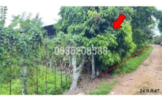 ขายที่ดิน ถนนสายเชียงใหม่-ฝาง (ทล.107)