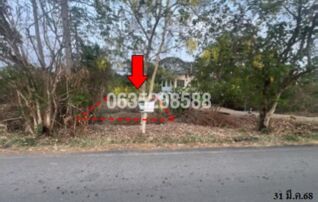 ขายที่ดิน ถนนสายสระบุรี-หล่มสัก (ทล.21)