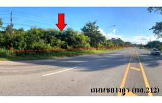 ทรัพย์สถาบันโดย บริษัท บริหารสินทรัพย์สุขุมวิท จำกัด ที่ดิน ถนนชยางกูร (ทล.212)