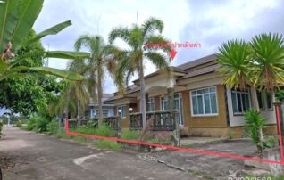 ทรัพย์ธนาคารโดย KASIKORNBANK บ้านเดี่ยว  ถนนสายเหนือคลอง - ควนสว่าง (ทล.4037)