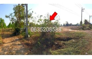 ขายที่ดิน ถนนสายแยกทล.101-อุทยานแห่งชาติรามคำแหง