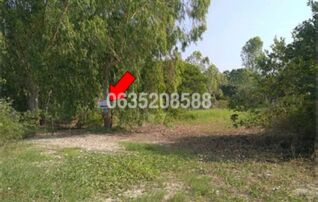 ขายที่ดิน ถนนสุพรรณบุรี-ชัยนาท (ทล. 340)