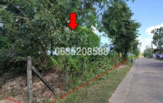 ขายที่ดินมีบ่อน้ำ พร้อมบ้านพักอาศัยไม้ชั้นเดียว จำนวน 3 หลัง ถนนสถิตย์นิมานกาล