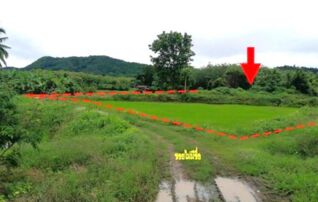 ทรัพย์ธนาคารโดย KASIKORNBANK ที่ดิน ถนนสายบ้านอาฮี - บ้านน้ำพาน (ลย.3180)