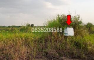ขายที่ดิน สุรีย์ปาร์ค