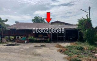 ขายบ้านเดี่ยว ซอยบ้านสระ ม.1 ถนนหนองพงนก-ไผ่เจดีย์ (ทล.3232)