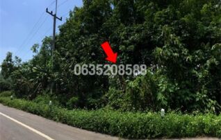 ขายที่ดิน ถนนสายหัวดอย-สันสลีก-บ้านต้า (ทล.1152)