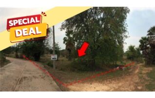 ทรัพย์สถาบันโดย บริษัท บริหารสินทรัพย์สุขุมวิท จำกัด ที่ดิน ถนนสายบ้านยางป่า-โคกสูง (ชย.4077)
