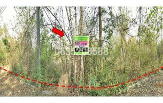 ขายที่ดิน ล้านนาคันทรีปาร์ค (Lanna Country Park)