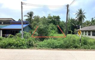 ทรัพย์ธนาคารโดย KASIKORNBANK ที่ดิน ถนนสายพรุพ้อ - ทุ่งนารี - เพชรเกษม