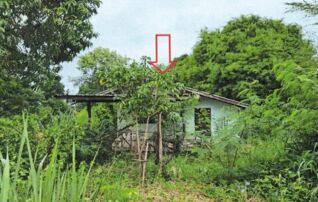 ทรัพย์สถาบันโดย GHB บ้านเดี่ยว ถนนหนองนกกระเรียน-น้ำพุ