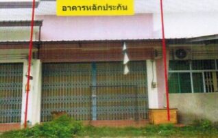 ทรัพย์สถาบันโดย  ตึกแถว-อาคารพาณิชย์