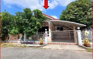 ทรัพย์สถาบันโดย GHB บ้านเดี่ยว พัฒนธานี
