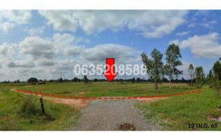 ขายที่ดิน ถนนสายบ้านหนองบัวขาว-บ้านโสกตลับ (ชย.3001)