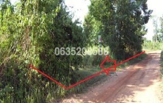 ขายที่ดิน ซอย1 ดงศาลา ถนนนิตโย (ทล.22)
