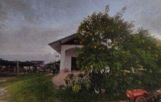 ทรัพย์สถาบันโดย GHB บ้านเดี่ยว หนองหงส์ บุรีรัมย์