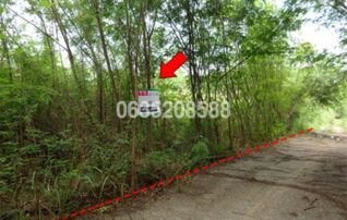 ขายที่ดิน เพชรบูรณ์ฮิลล์ แอนด์ การ์เด้น