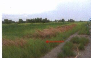 ทรัพย์สถาบันโดย GHB ที่ดิน ทานตะวัน 3