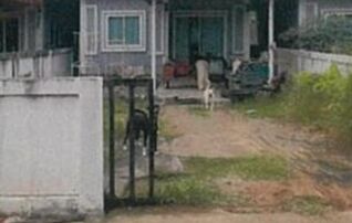 ทรัพย์สถาบันโดย GHB บ้านเดี่ยว รัตนาพร(บ่อทอง)