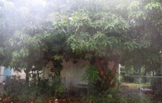 ทรัพย์สถาบันโดย GHB บ้านเดี่ยว เอื้ออาทรลาดหลุมแก้ว