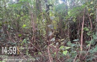 ทรัพย์สถาบันโดย GHB ที่ดิน จอมทองฮิลล์