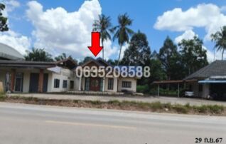 ขายโกดัง/โรงงาน ถนนสายสวี-บ่อคา (ทล.4003)