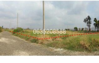 ขายที่ดิน การ์เด้นซิตี้ โปโล (Garden City Polo)