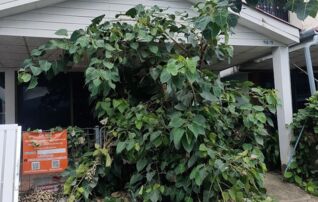 ทรัพย์สถาบันโดย GHB บ้านเดี่ยว  แม่สาย เชียงราย