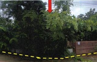 ทรัพย์สถาบันโดย GHB บ้านเดี่ยว พงศกร2(หนองสาริกา)