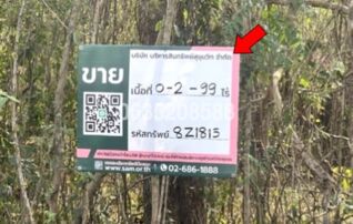 ขายที่ดิน เพชรบูรณ์การ์เด้นฮิลล์