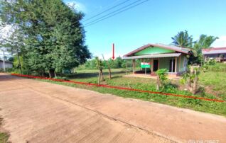 ทรัพย์ธนาคารโดย KASIKORNBANK บ้านเดี่ยว ถนนสายพรรณานิคม - อากาศอำนวย (ทล.2094)