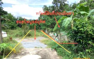 ทรัพย์สถาบันโดย KASIKORNBANK ที่ดิน ซอยไพบูลย์อุทิศ ถนนจันทรานนท์วิถี
