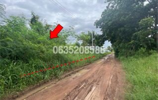 ขายที่ดิน ถนนสายพิจิตร-วังกรด (พจ.5046)