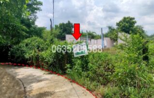 ขายที่ดิน ซอยบ้านหนองสมบูรณ์ หมู่ที่ 16 ถนนสายเลิงนกทา-ยโสธร (ทล.2169)