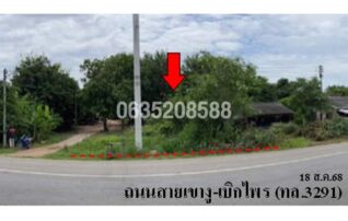ขายที่ดิน ถนนสายเขางู-เบิกไพร (ทล.3291)