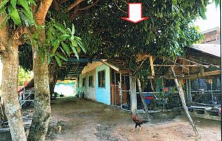 ทรัพย์สถาบันโดย GHB บ้านเดี่ยว เชียงยืน