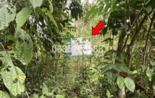 ขายที่ดิน ถนนสายบุรี-กะพ้อ (ทล.4060)