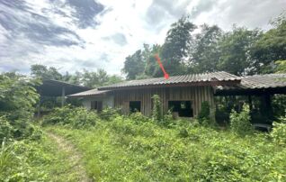 ทรัพย์ธนาคารโดย KASIKORNBANK บ้านเดี่ยว ถนนสายบ้านร่องร่วมวุฒิ-บ้านนาเจริญ (อบ.2055)