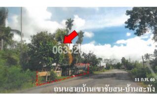 ขายบ้านเดี่ยว ถนนบ้านเขาชัยสน-บ้านสะทัง