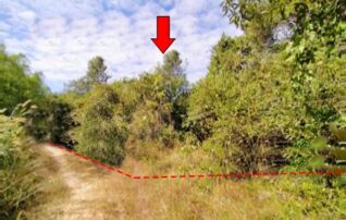 ทรัพย์สถาบันโดย บริษัท บริหารสินทรัพย์สุขุมวิท จำกัด ที่ดิน ชุมชนบ้านนิคม