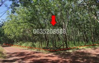 ขายที่ดินเปล่า ถนนสายบ้านนาป่าน-บ้านคำไผ่ (บก.3013)