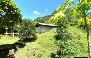 ทรัพย์ธนาคารโดย KASIKORNBANK บ้านเดี่ยว ถนนสายวังสะพุง - อุดรธานี (ทล.210)