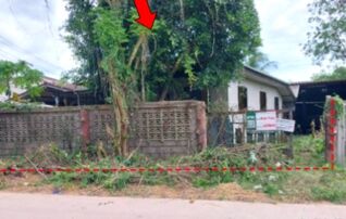 ทรัพย์สถาบันโดย บริษัท บริหารสินทรัพย์สุขุมวิท จำกัด บ้านเดี่ยว ถนนเทศบาล 4