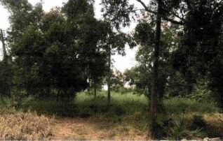 ทรัพย์สถาบันโดย GHB ที่ดิน สิชล
